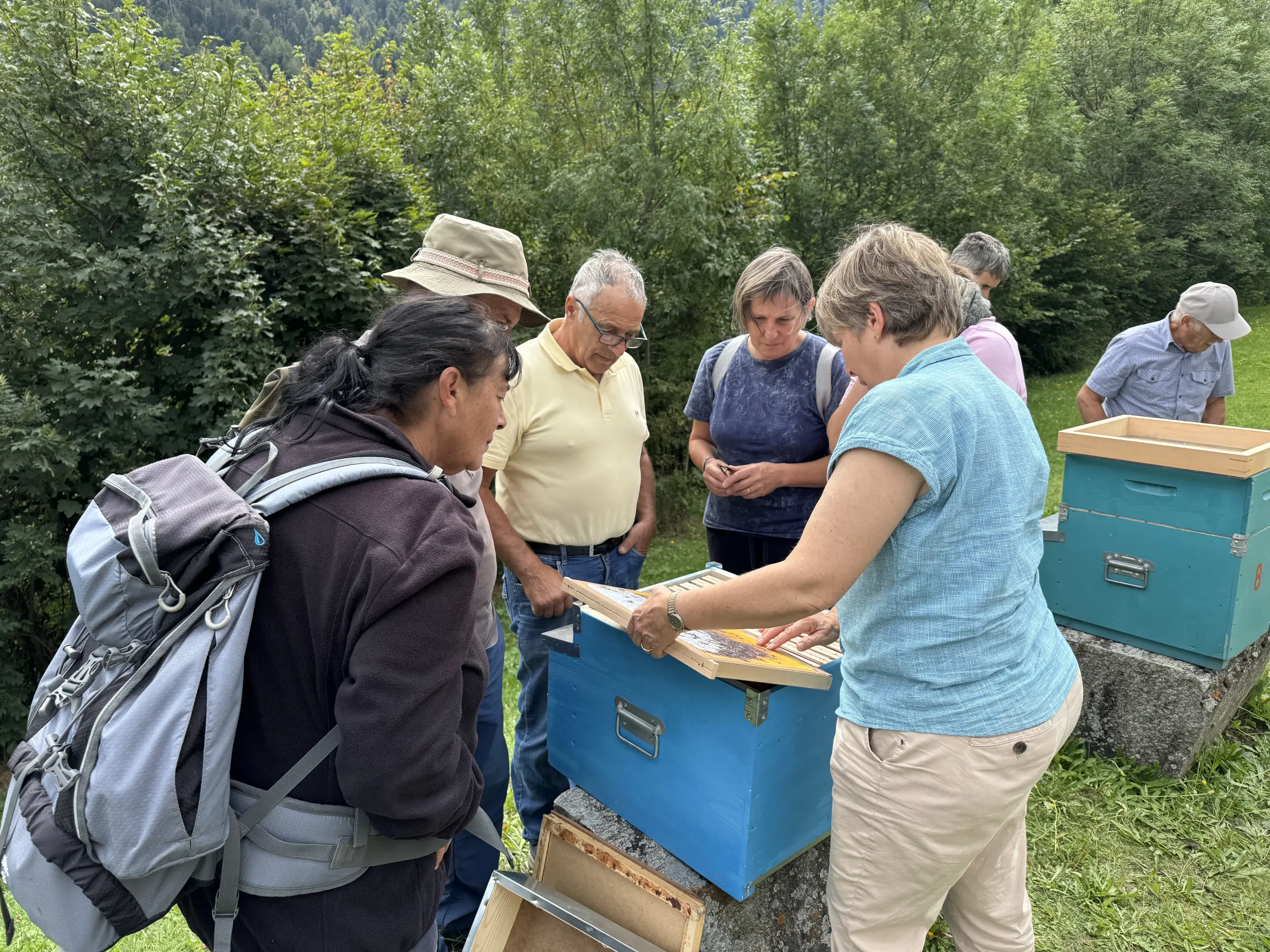 Un gruppo di persone osserva attentamente un'arnia blu mentre una donna mostra un telaio ricoperto di api. Gli adulti, di varie età, sembrano interessati e coinvolti nell'attività. Sullo sfondo, una vegetazione verde e rigogliosa.