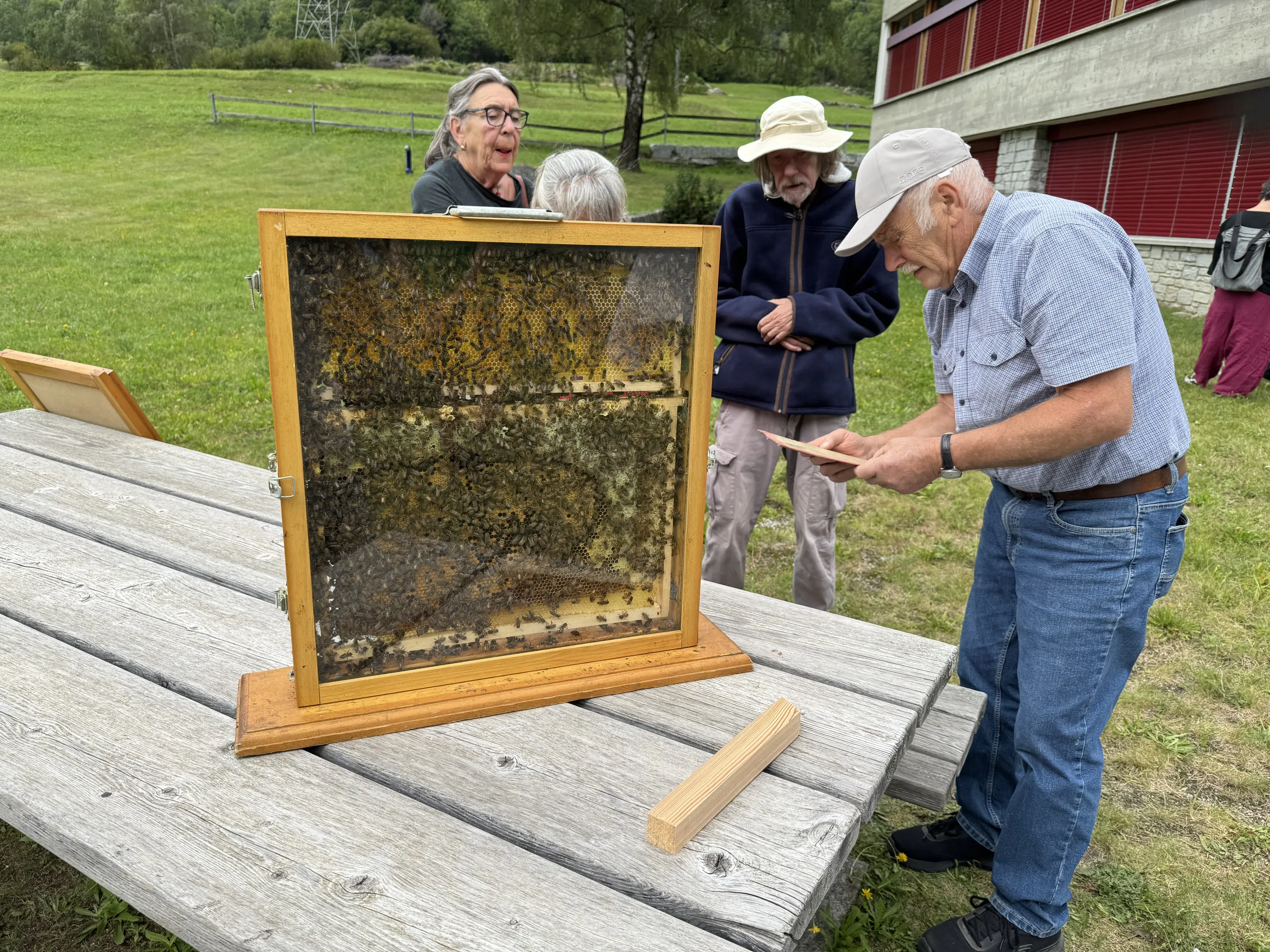 Un gruppo di persone osserva un osservatorio per api all'aperto. Un uomo anziano esamina un pannello, mentre altri tre si guardano attorno, curiosi. Sullo sfondo si vedono aree verdi e una costruzione.