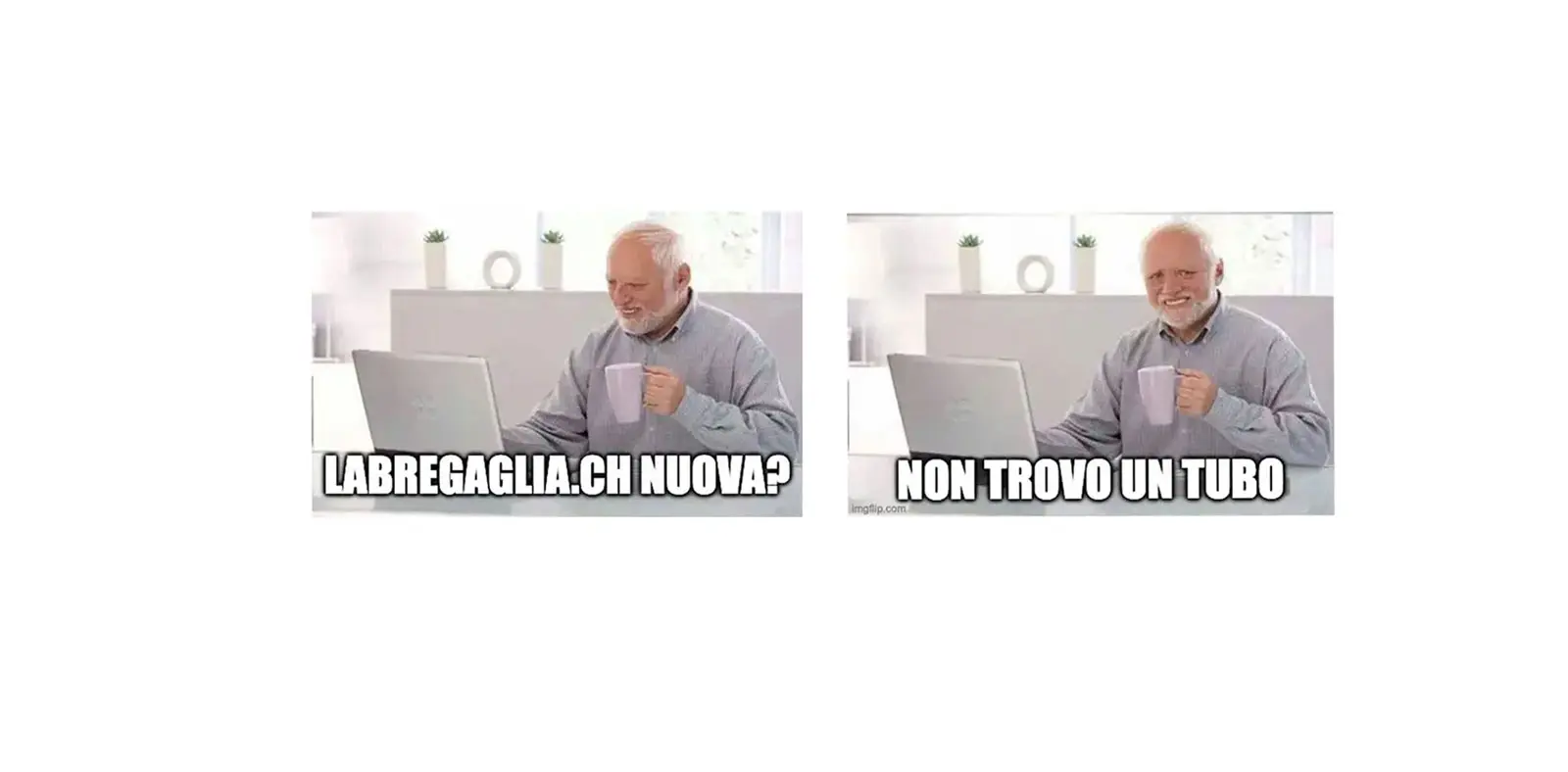 Un uomo anziano sorride mentre usa un computer portatile. A sinistra, il testo dice "LABREGALIA.CH NUOVA?" e a destra "NON TROVO UN TUBO".