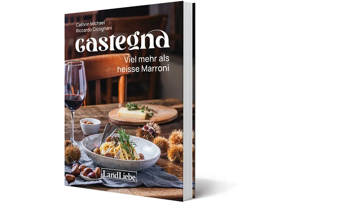 Un libro di cucina intitolato "Castegn" con una copertina elegante. Il titolo è presentato in caratteri bianchi su uno sfondo scuro, con un bicchiere di vino rosso e piatti di pasta, insieme a castagne, in un ambiente accogliente.