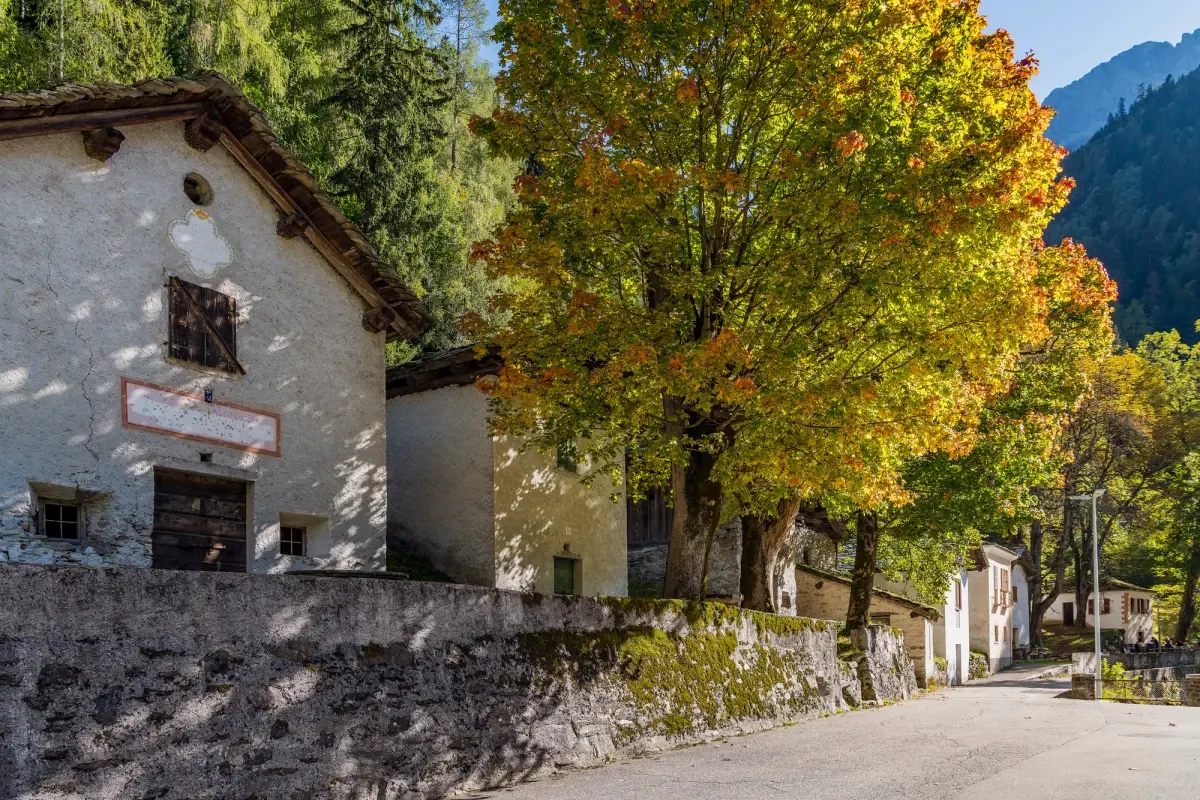 22&deg; Festival della Castagna - Apertura